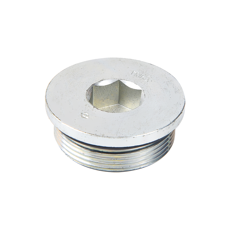  4ON SAE Socket head plug