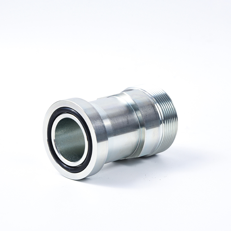 1DFS  1CFL  GFS ISO6162 Flange fitting