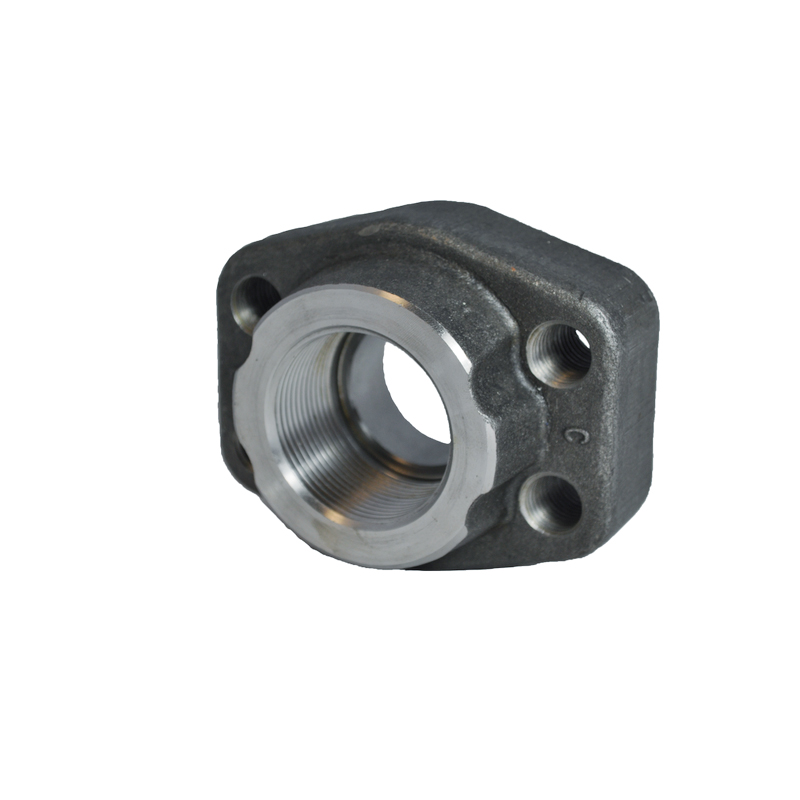 SAE Straight 4 Bolt Flange with BSPP Thread PCFF-G